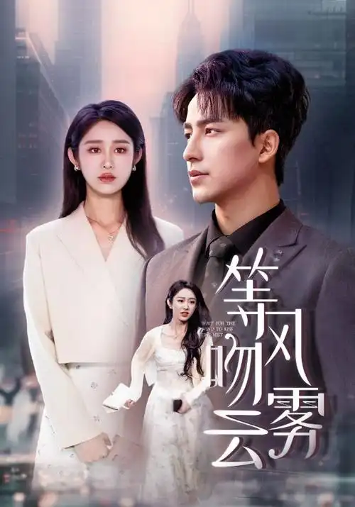 长夜将尽 剧集海报